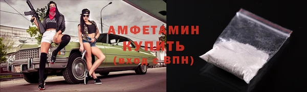 амф Верхний Тагил