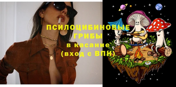 mdma Новодвинск