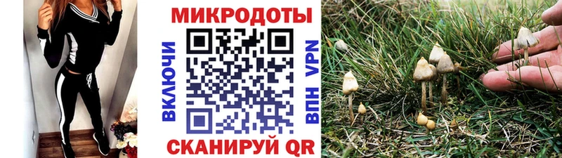 где можно купить   Амурск  Псилоцибиновые грибы прущие грибы 