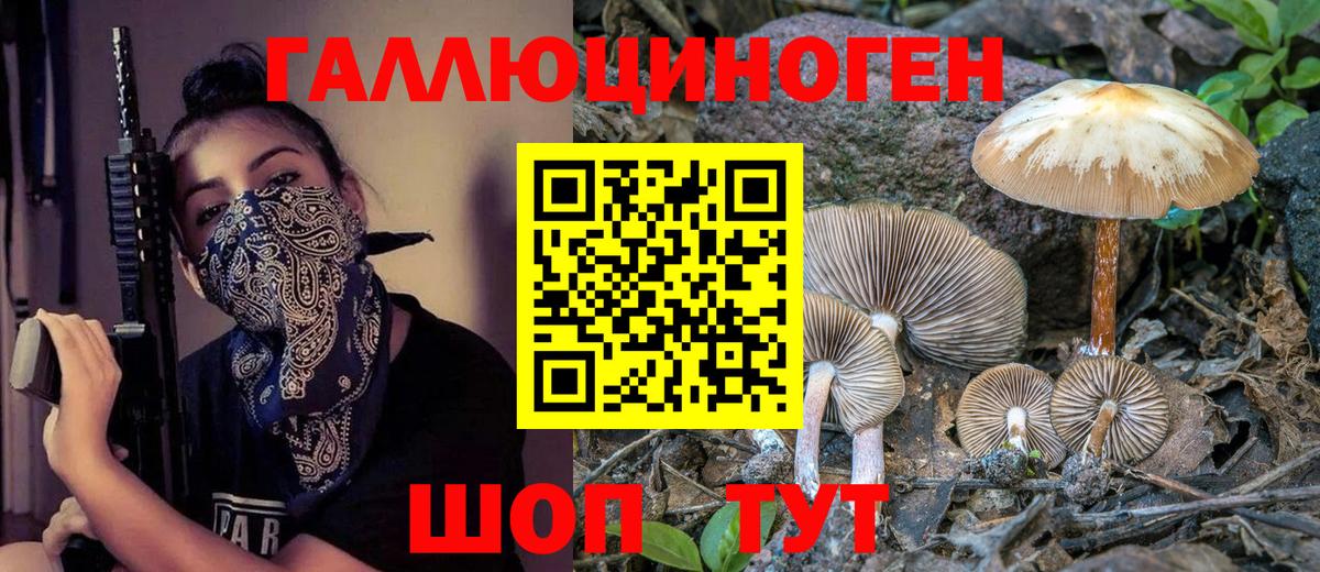 Псилоцибиновые грибы Magic Shrooms Амурск