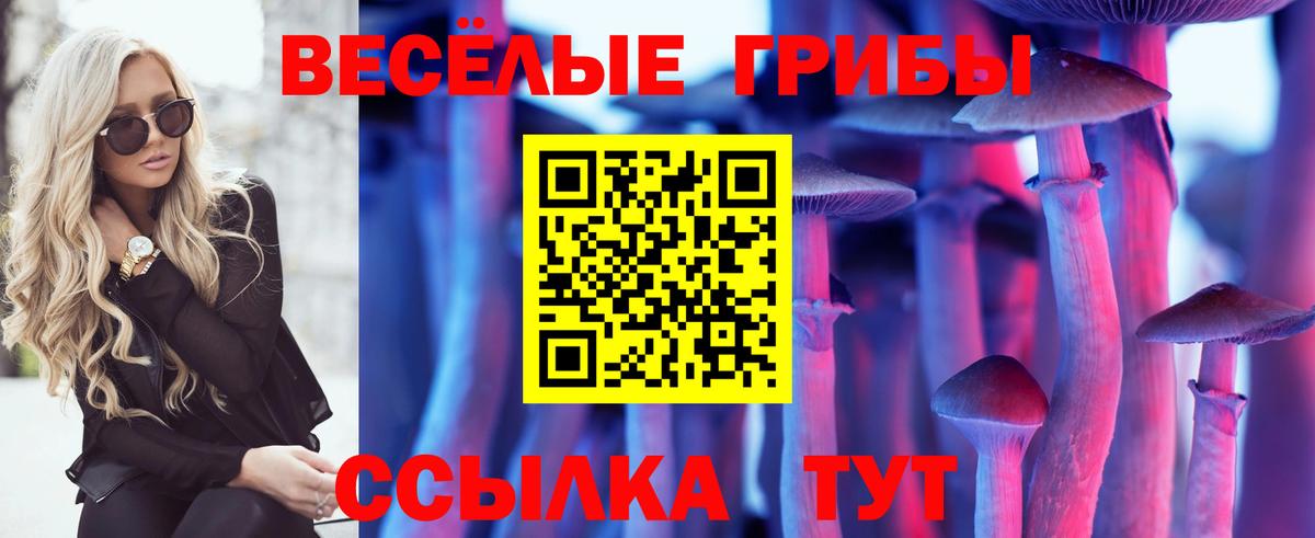 Псилоцибиновые грибы ЛСД  Вход с VPN  дарнет шоп  Амурск 